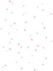 Fototapeta na wymiar 桜の花びらが舞う背景の縦イラスト