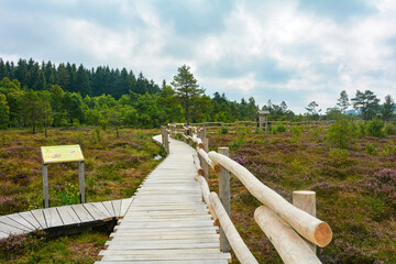 Black moor with a new wooden path