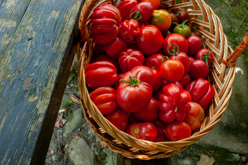 delicious and red tomatoes natural