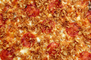 pizza with pepperoni sausage and crispy onion