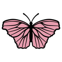 Pink Butterfly