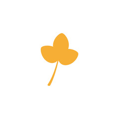 set of yellow dry leaves nature