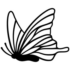 Flying Butterfly 