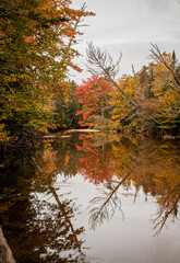 trees and fall foliage relflected in a river, New Hampshire