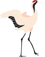 Stork Bird Standing