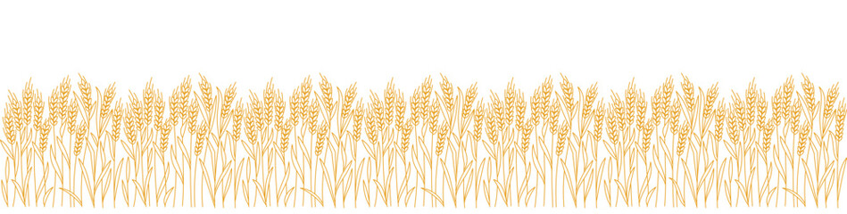 Field of cereal. Wheat ears. Vector line outline stroke. Editable open paths.