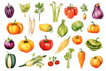 Watercolor Vegetables Set  Vegan Healthy Food Illustration for Culinary Delights