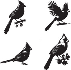 tropical parrot silhouettes isolated on white background