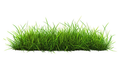 a patch of grass on a white background