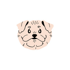 Cute Maltese muzzle. Funny avatar of toy breed puppy. Fluffy pup face, amusing doggy snout. Happy canine pet portrait. Small purebred lap dog. Flat isolated vector illustration on white background