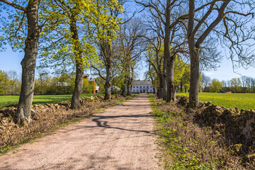 Gravel road to a farm on a sunny spring day