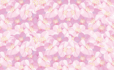 タイトルや見出しに使えるシンプルな満開の桜の花びらの花柄・模様背景の春素材_沢山・いっぱい