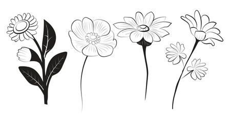 Flower Coloring Pages, vector,eps flower set free download