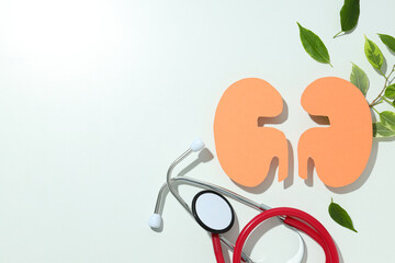 Kidneys on a light background, for National Kidney Month.