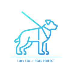 Guide dog gradient linear vector icon. Visual impairment, support animal. Volunteerism. Blindness support services. Thin line color symbol. Modern style pictogram. Vector isolated outline drawing