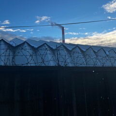 Barbed wire fence