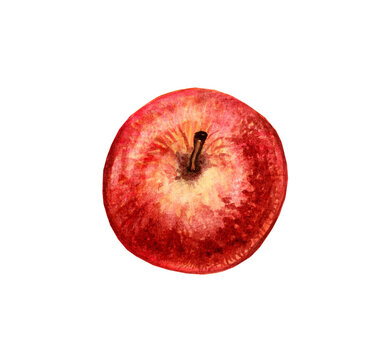 Beautiful juicy red apple isolated