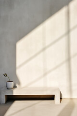 Minimalist interior design, concrete floor and white wall with shadow