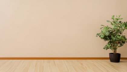 plant in a room with wooden flooring, empty room with wooden floors and plant