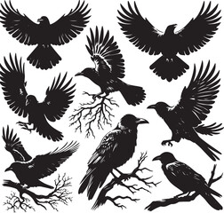 Black crow silhouette vector