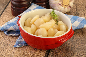 Raw scallop seafood in the bowl