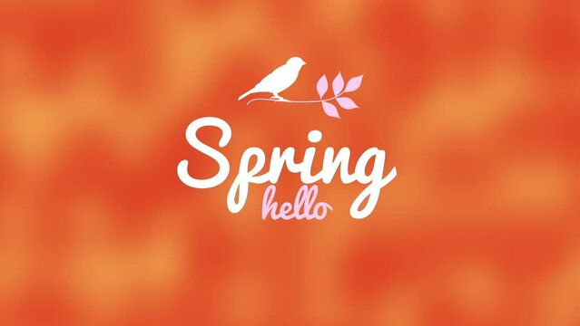 A minimalistic and modern logo for the brand Spring Hello, featuring a bird on a branch and the brand name in playful font. The design is simple and readable with a blurred abstract pattern