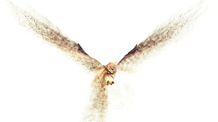 Fototapeta premium Flying owl. Abstract artistic nature. Dispersion, splatter effect. White background.