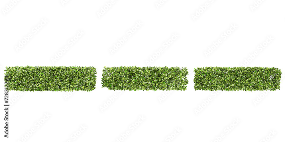 Poster from top view of grecian bay trees collection with realistic style