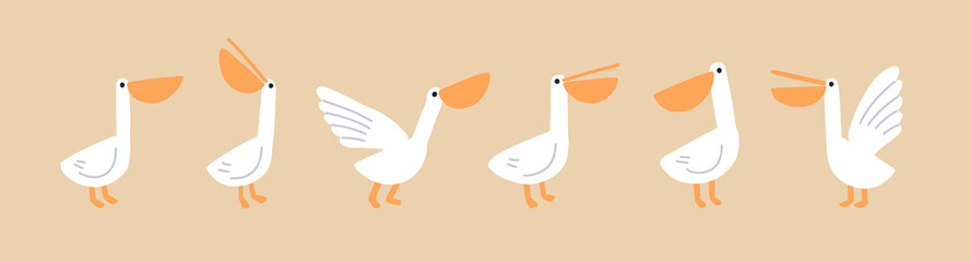 Cute funny pelicans set. Exotic water bird with big beak. Tropical fauna, adorable amusing feathered animals walking. Isolated kids childish flat vector illustrations