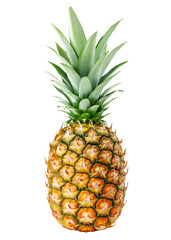 Fototapeta premium Pineapple isolated on white background, full depth of field