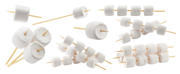 marshmallow on wooden stick isolated on white background, full depth of field