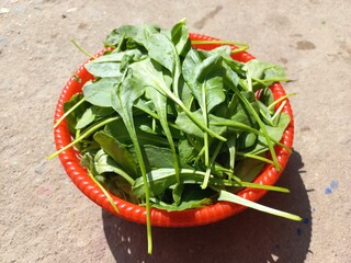 Green spinach greens in a red plastic basket,Green Fresh Spinach Leaves,Indian Green Fresh Spinach Leaves,Fresh green Spinach Greens on a red plastic Basket 