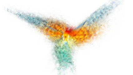 Flying colors. Abstract artistic nature. Dispersion, splatter effect. Bee eater.
