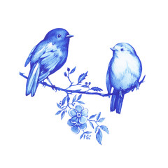 Couple robin birds sitting on a branch. Hand drawn blue watercolor painting illustration isolated on white background