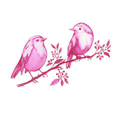 Couple pink robin birds sitting on a branch. Hand drawn watercolor painting illustration isolated on white background