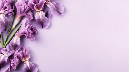 Naklejka na ściany i meble Beautiful iris flowers
