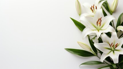 Fototapeta na wymiar A minimalist Easter scene featuring a lone, graceful lily on a pristine white backdrop.