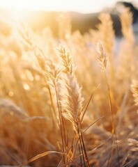 Golden wheat field at sunset. Generative AI.