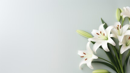 Fototapeta na wymiar A minimalist Easter scene featuring a lone, graceful lily on a pristine white backdrop.