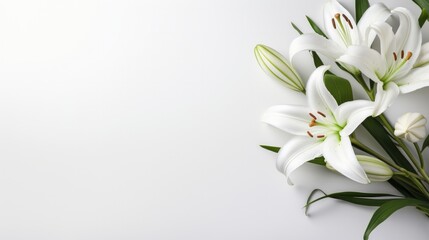 Obraz premium A minimalist Easter scene featuring a lone, graceful lily on a pristine white backdrop.