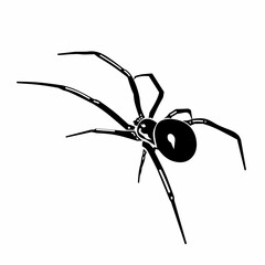 Silhouette of black widow spider insect icon.  Logo, icon, tattoo idea, halloween decoration, and design elements