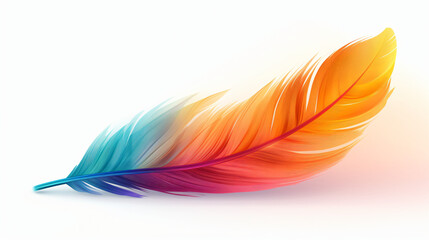Colorful feather illustration