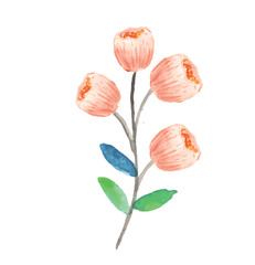 branch with pink flowers. leaves watercolor hand painted. flourish illustration vector

