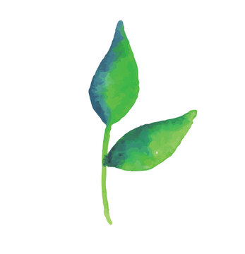 green leaf with water drops. green blue leaves watercolor illustration. leaves with gradations colors. unique leaves vector.