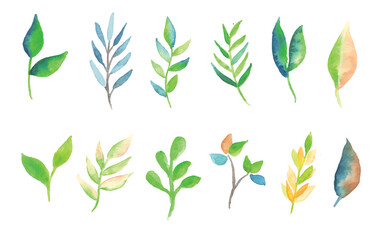 leaf series with watercolor style. set of green leaves. element for design. clip art