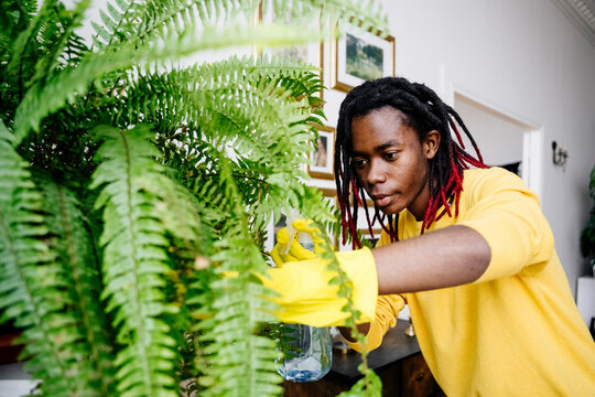 Young man with dreadlocks watering plants at home