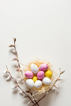 Easter minimalist concept with easter eggs in a nest and Spring pussy willow branches. Delicate pastel empty background with copy space. Vertical photo