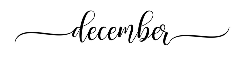 Fototapeta na wymiar December – Calligraphy brush text banner with transparent background.