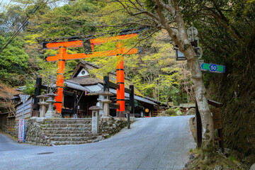 Atago Jinja Shrine in Kyoto, japan