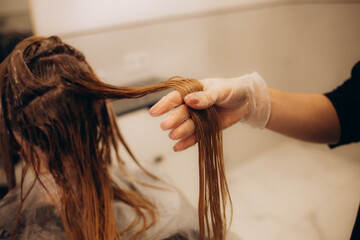 hairdresser coloring hair in studio - obrazy, fototapety, plakaty